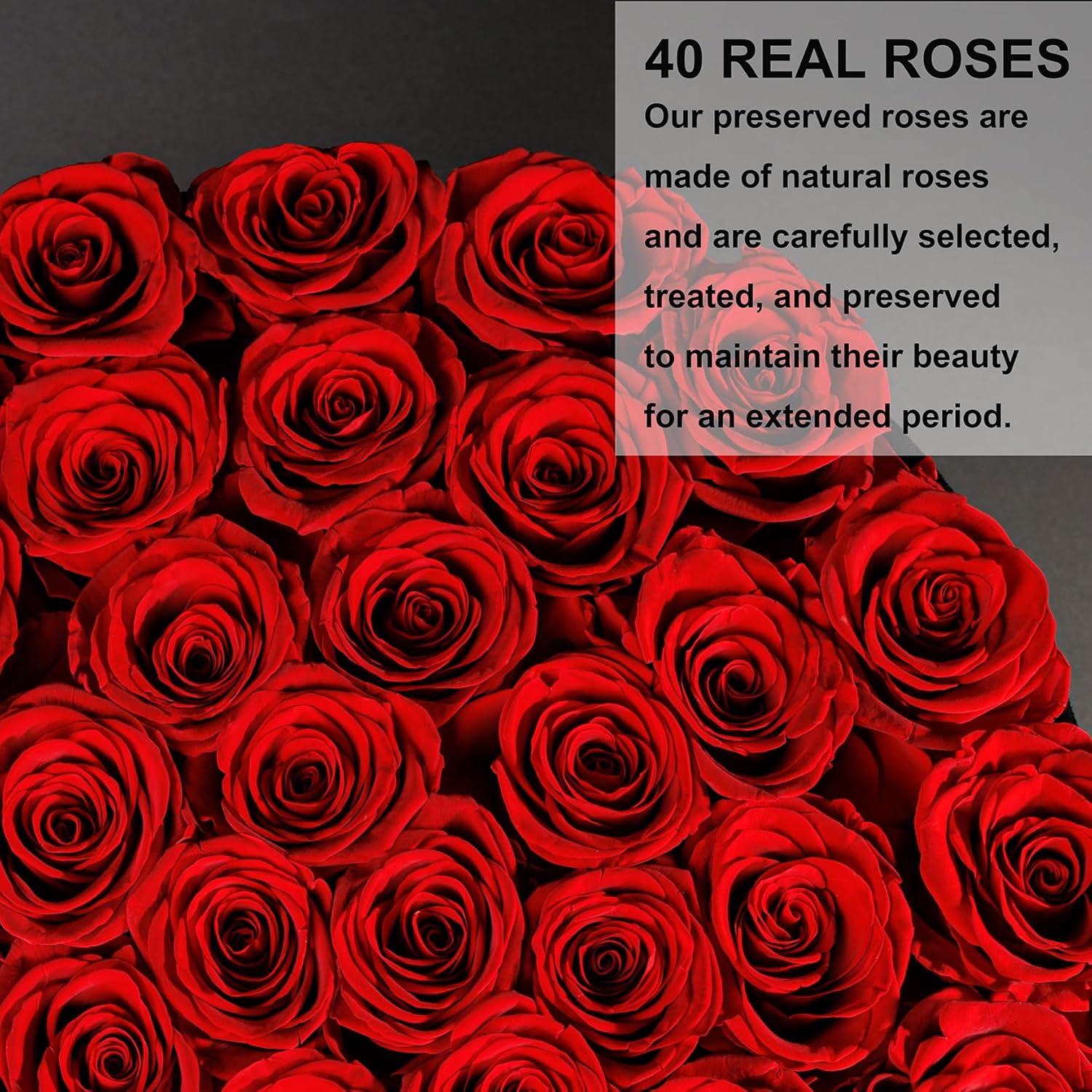 Forever Roses Gift Box 40 Roses